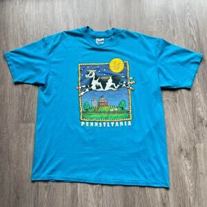 Vintage 90s pennsylvania graphic tee